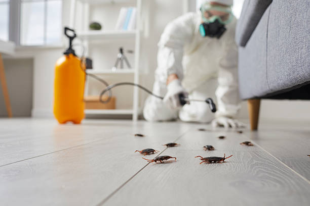 Post-Treatment Bed Bug Interceptor Monitoring in Whitehall