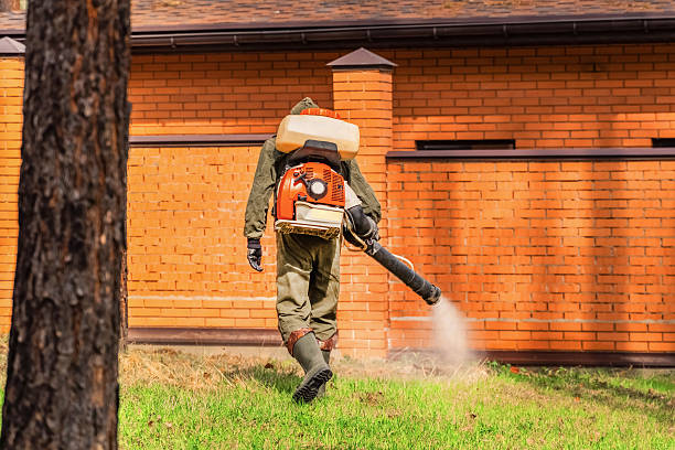 Bed Bug Clearance Verification and Documentation in Whitehall